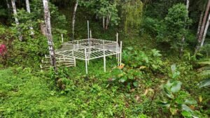 diamante land with waterfall veiws -188915 (7)