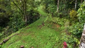 diamante land with waterfall veiws -188915 (8)