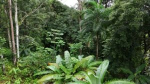 diamante land with waterfall veiws -188915 (9)