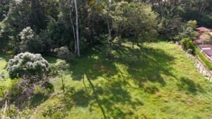 riverfront property in Hatillo near Dominical (1)