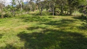 riverfront property in Hatillo near Dominical (10)