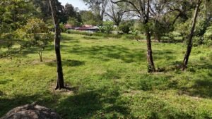 riverfront property in Hatillo near Dominical (11)