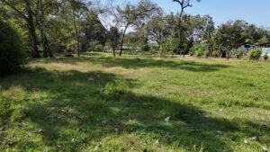 riverfront property in Hatillo near Dominical (12)