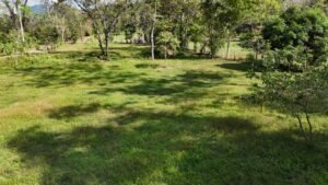 riverfront property in Hatillo near Dominical (4)