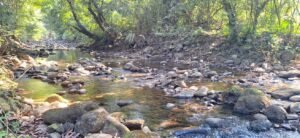 riverfront property in Hatillo near Dominical (5)