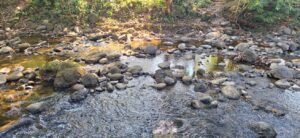 riverfront property in Hatillo near Dominical (6)