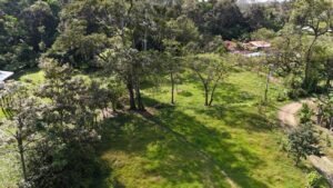 riverfront property in Hatillo near Dominical (8)