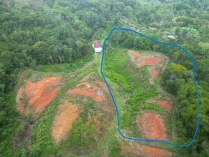 zz outline at 4.00.11 PM