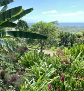 01 – Ocean View Villa in Uvita with Proven Airbnb Income and Luxury Tropical Living – 190503 (47)