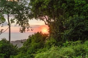 189581- luxury ocean view house near Dominical Costa Rica (17)