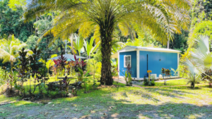 190456- Private Jungle Compound OJochal 39 (22)
