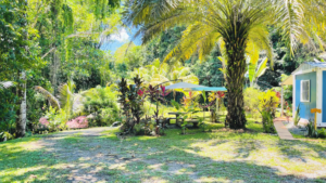 190456- Private Jungle Compound OJochal 39 (29)