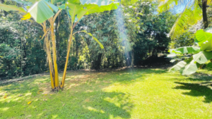 190456- Private Jungle Compound OJochal 39 (30)