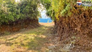2 bed house for sale in Costa Rica 1 (10)