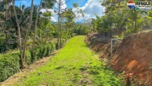 2 bed house for sale in Costa Rica 1 (15)