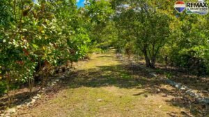 2 bed house for sale in Costa Rica 1 (16)