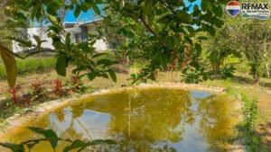 2 bed house for sale in Costa Rica 1 (20)