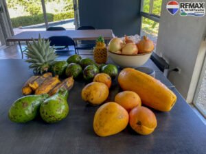 2 bed house for sale in Costa Rica 1 (28)