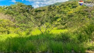 2 bed house for sale in Costa Rica 1 (65)