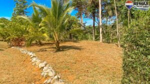 2 bed house for sale in Costa Rica 1 (66)