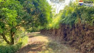 2 bed house for sale in Costa Rica 1 (67)