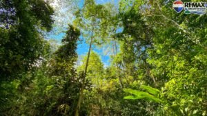 2 bed house for sale in Costa Rica 1 (71)