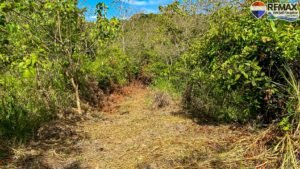 2 bed house for sale in Costa Rica 1 (86)