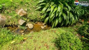 4 bed House for sale in Ojochal Costa Rica 1 (49)