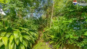 4 bed House for sale in Ojochal Costa Rica 1 (50)