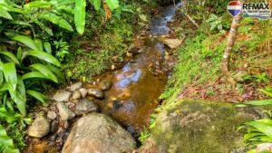 4 bed House for sale in Ojochal Costa Rica 1 (56)