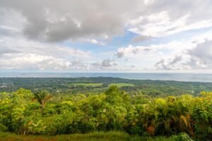 Luxury Ocean View Estate in Costa Ballena, Costa Rica (3)