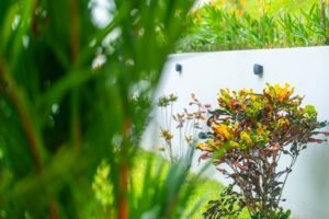 Luxury Ocean View Estate in Costa Ballena, Costa Rica (82)