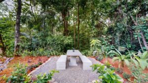 Modern Jungle Home for Sale Near Dominical Costa Rica- 190402 (1)