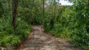 Modern Jungle Home for Sale Near Dominical Costa Rica- 190402 (36)