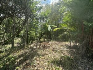 OOcean view property in Uvita (1)