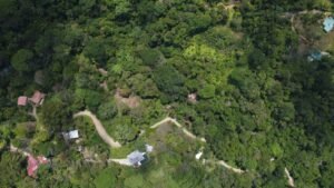 OOcean view property in Uvita (11)