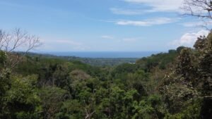 OOcean view property in Uvita (13)