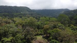 OOcean view property in Uvita (14)