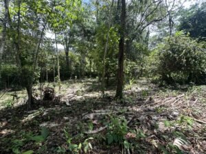 OOcean view property in Uvita (18)