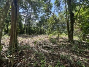 OOcean view property in Uvita (19)
