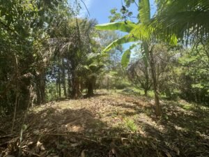 OOcean view property in Uvita (2)