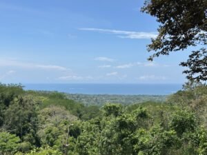 OOcean view property in Uvita (20)