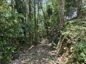 OOcean view property in Uvita (3)