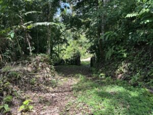 OOcean view property in Uvita (5)