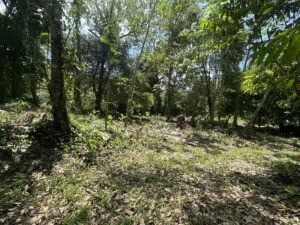OOcean view property in Uvita (6)