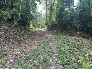 OOcean view property in Uvita (9)