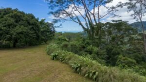 Ocean View Land with Guest House for Sale in Tres Rios Costa Rica 190683 (10)