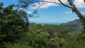 Ocean View Land with Guest House for Sale in Tres Rios Costa Rica 190683 (11)