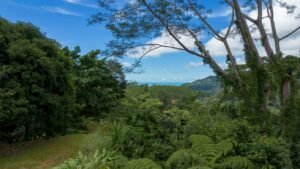 Ocean View Land with Guest House for Sale in Tres Rios Costa Rica 190683 (12)