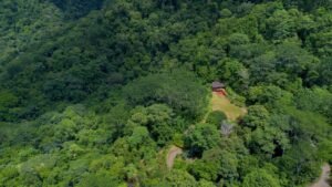 Ocean View Land with Guest House for Sale in Tres Rios Costa Rica 190683 (14)